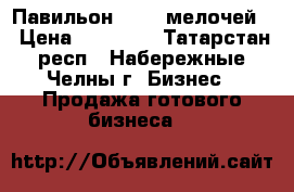 Павильон “1000 мелочей“ › Цена ­ 70 000 - Татарстан респ., Набережные Челны г. Бизнес » Продажа готового бизнеса   
